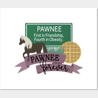 Pawnee Posters and Art